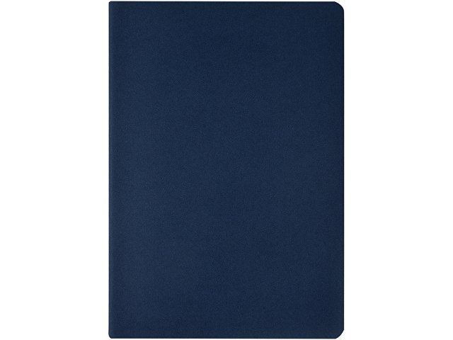 Бизнес-тетрадь А4 Pragmatic