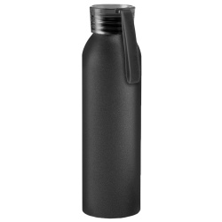 Бутылка для воды VIKING BLACK 650мл.