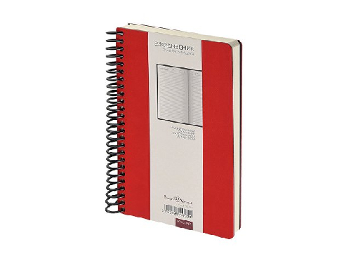 Ежедневник недатированный А5 Agenda