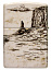 Зажигалка ZIPPO Western Design с покрытием 540 Matte, латунь/сталь, белая, 38x13x57 мм