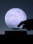 Левитирующая луна MoonFlight с
