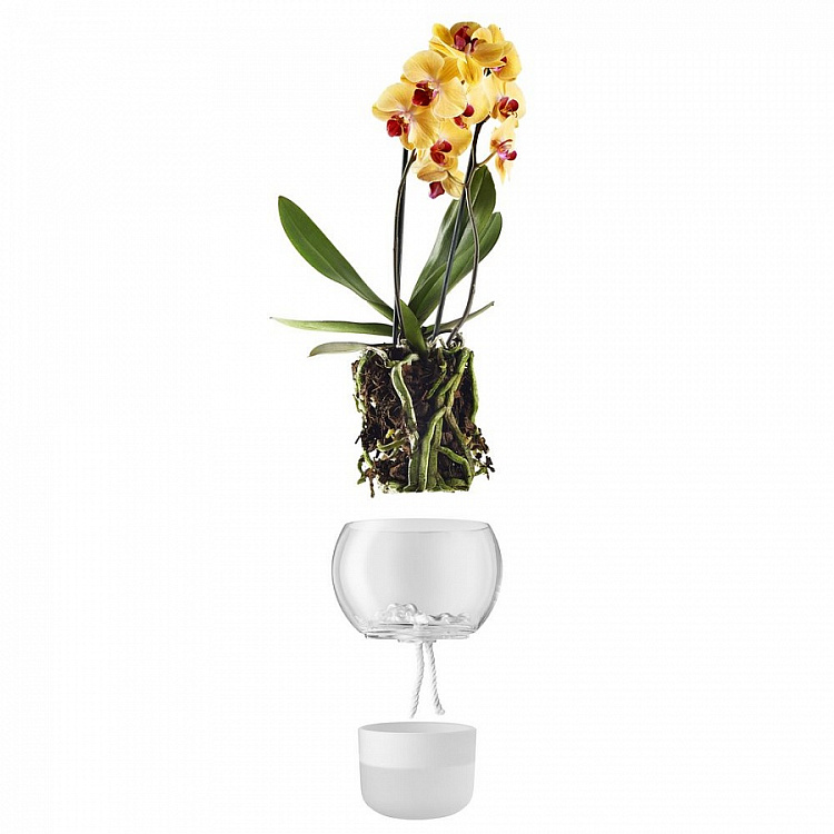 Горшок для орхидеи с функцией самополива Orchid Pot