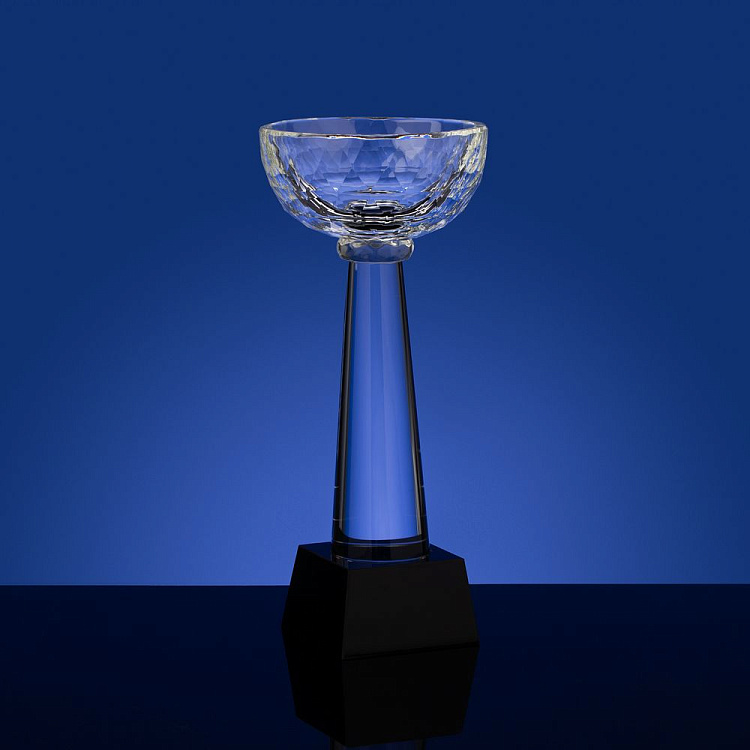 Кубок Cupture