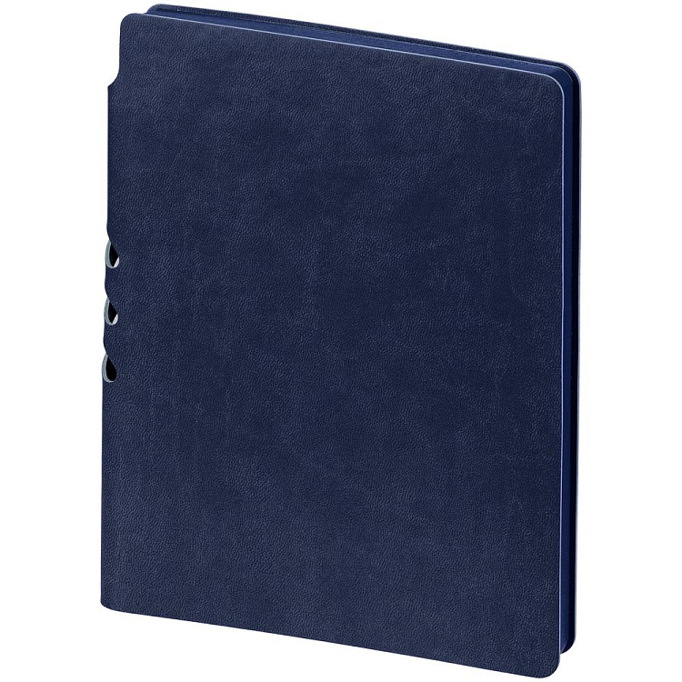 Ежедневник Flexpen Color