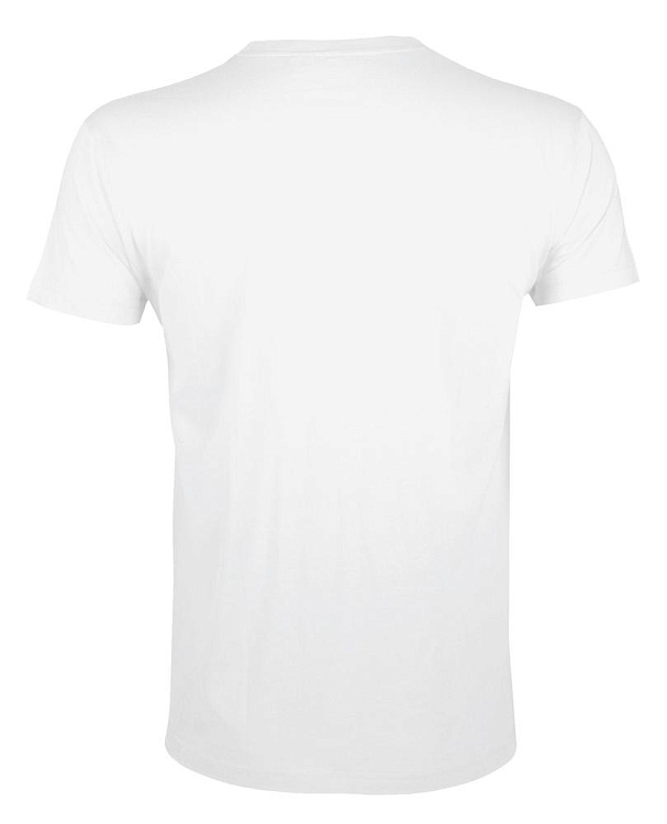 Футболка мужская Regent Fit 150