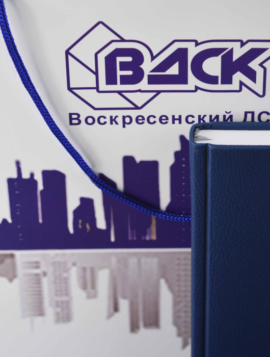 Календари, пакеты, планниги с логотипом для ВДСК