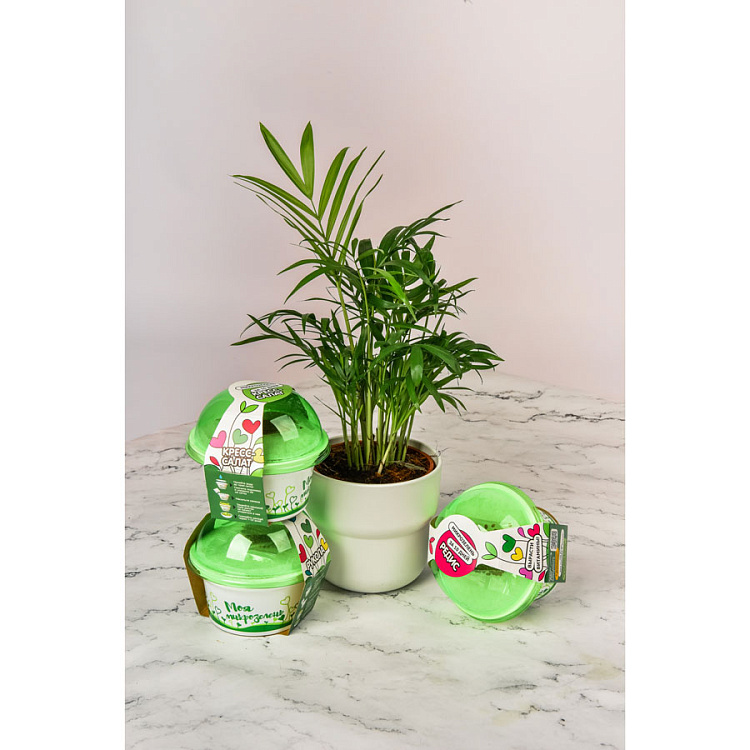 Комплект для выращивания. "Моя микрозелень": РУКОЛА