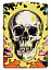 Зажигалка ZIPPO Skull Design с покрытием Glow In The Dark Green,латунь/сталь,разноцветная38x13x57 мм
