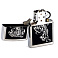 Зажигалка ZIPPO Tigre с покрытием Brushed Chrome, латунь/сталь, серебристая, матовая, 38x13x57 мм