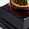 Кубок Awardee