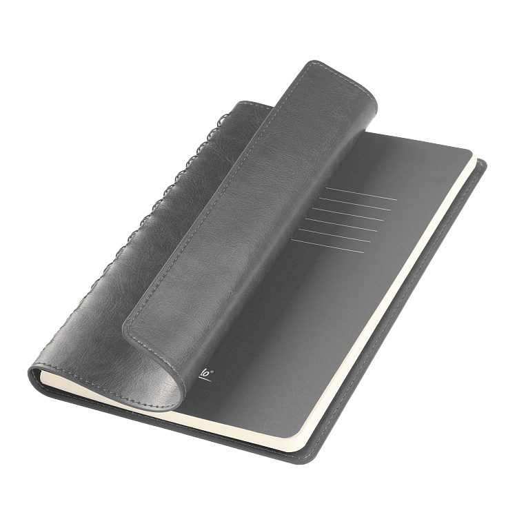 Ежедневник Vista Neo недатированный