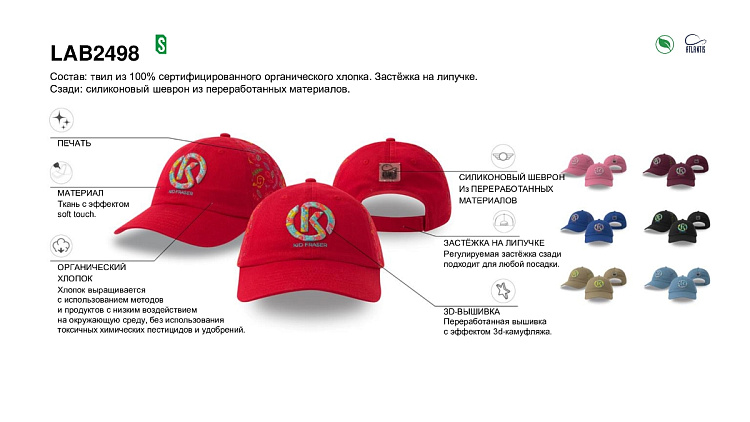 Лабораторный образец #2498 (используйте его для создания вашего индивидуального дизайна)