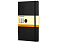 Подарочный набор Moleskine Van Gogh с блокнотом А5 Soft и ручкой