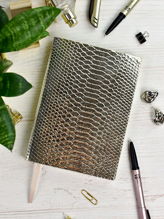 Ежедневник Anaconda