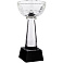 Кубок Cupture