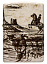 Зажигалка ZIPPO Western Design с покрытием 540 Matte, латунь/сталь, белая, 38x13x57 мм