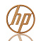 Сувенир "HP" DS021