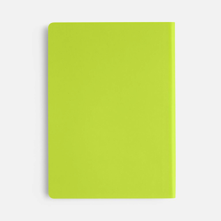 Ежедневник Flex Shall New