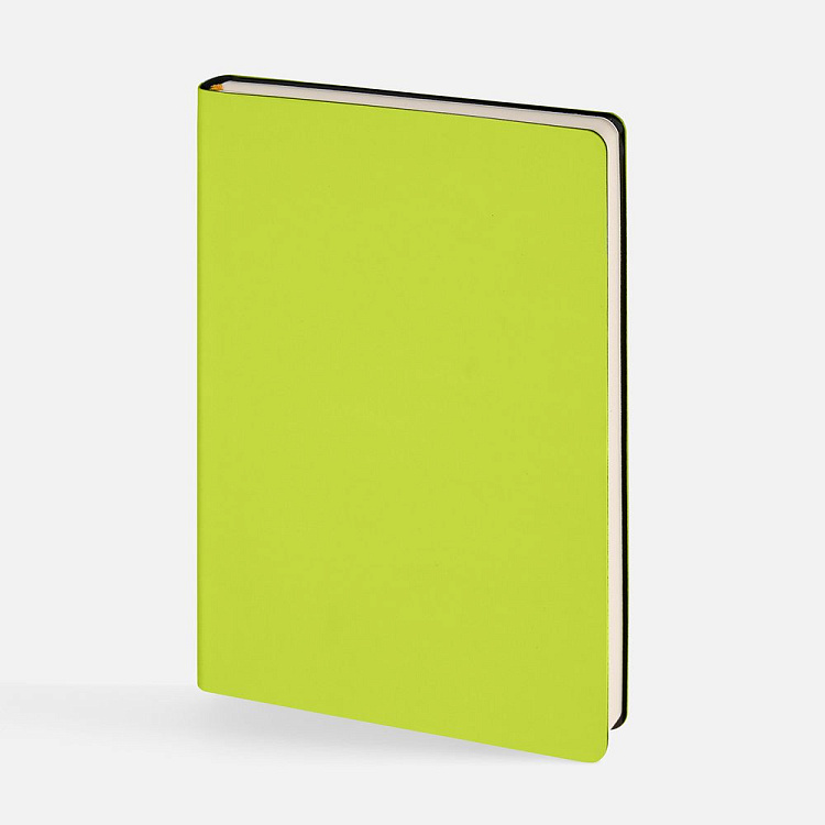 Ежедневник Flex Shall New