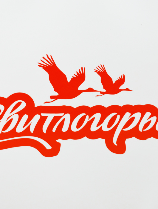 Сумка-холодильник для компании "Свитлогорье"
