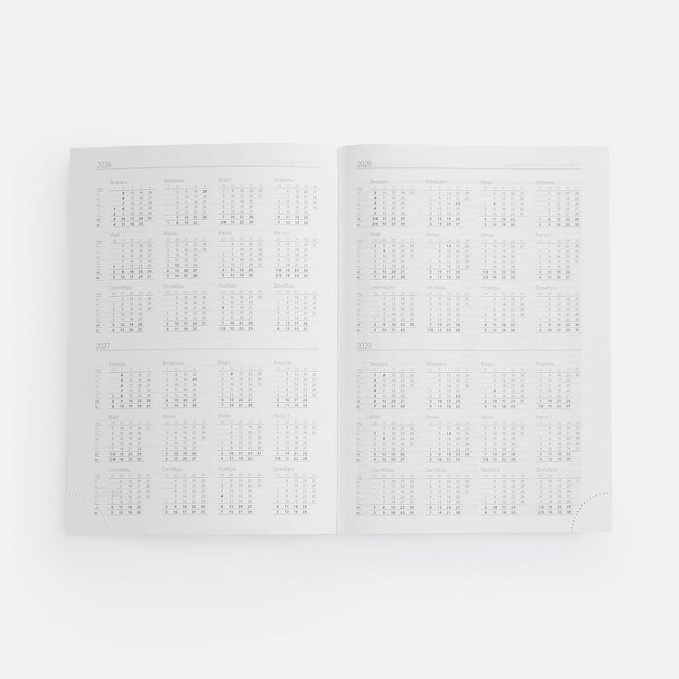 Ежедневник Vivian Metal