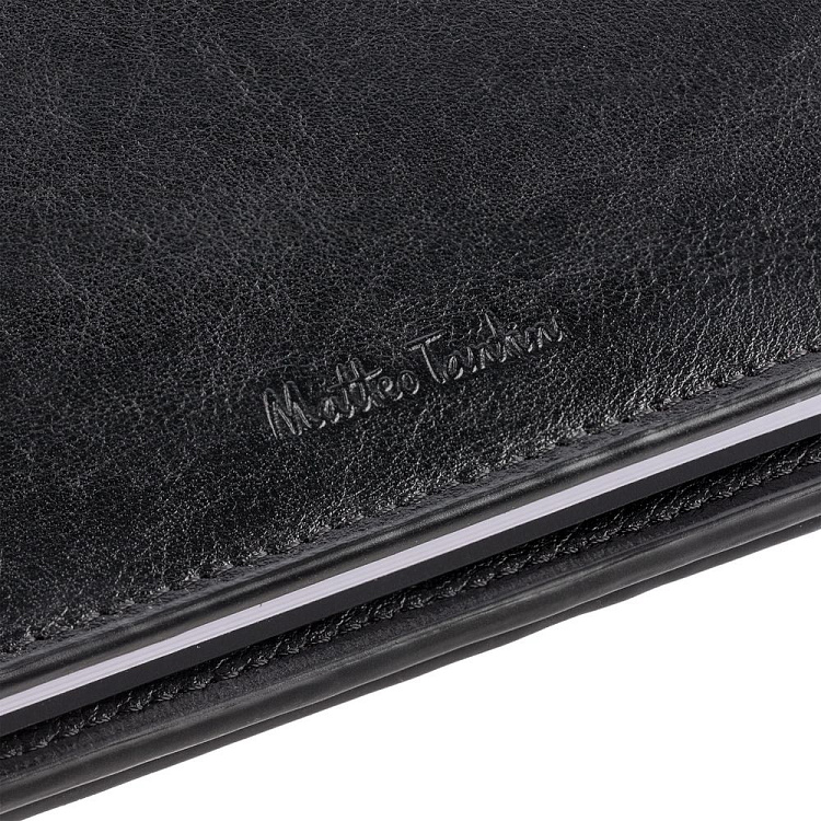 Ежедневник-портфолио Napoli