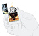 Зажигалка ZIPPO Dragon Design с покрытием Glow In The Dark Green, латунь/сталь, черная, 38x13x57 мм