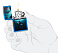 Зажигалка ZIPPO Whale с покрытием High Polish Blue, латунь/сталь, синяя, глянцевая, 38x13x57 мм