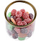 Карамель леденцовая Candy Crush