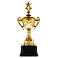 Кубок Top Star