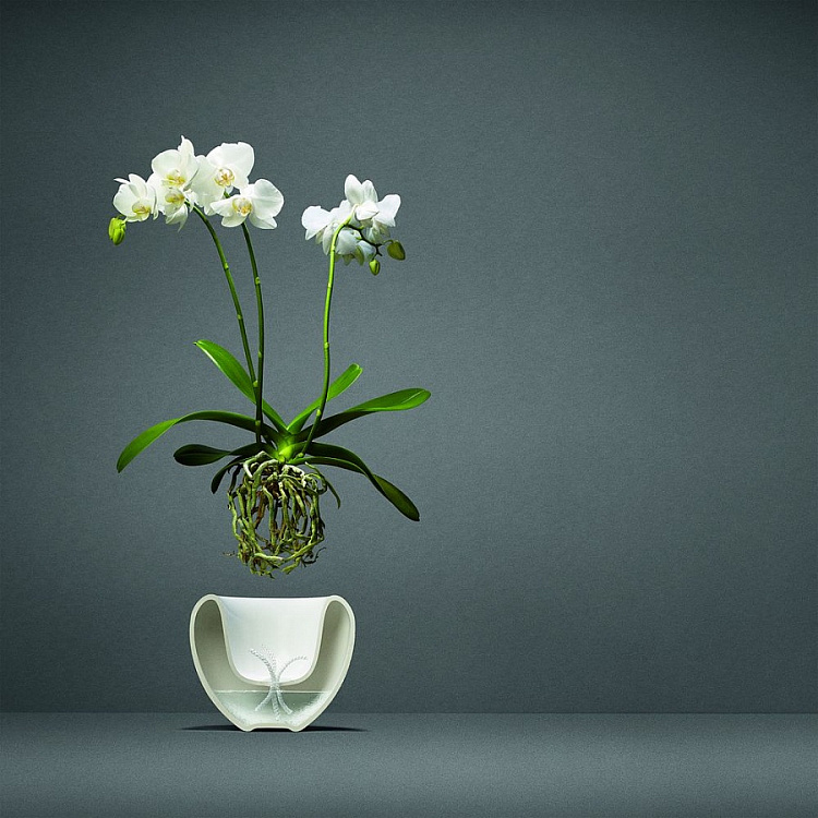 Горшок для орхидеи Orchid Pot