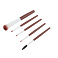 Набор Dewal Beauty косметических кистей /в тубусе/ (5шт/уп), 150мм х d40мм