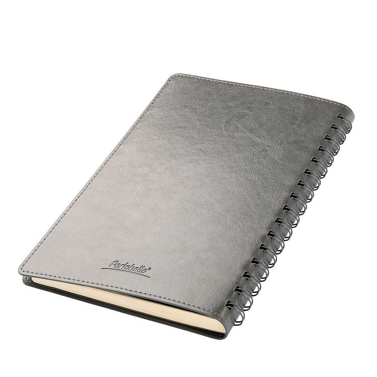 Ежедневник Vista Neo недатированный