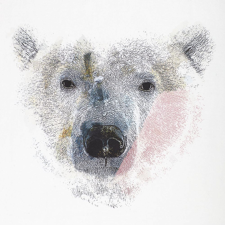 Холщовая сумка Polar Bro