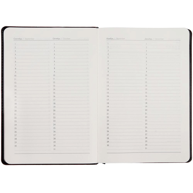 Ежедневник Alanis