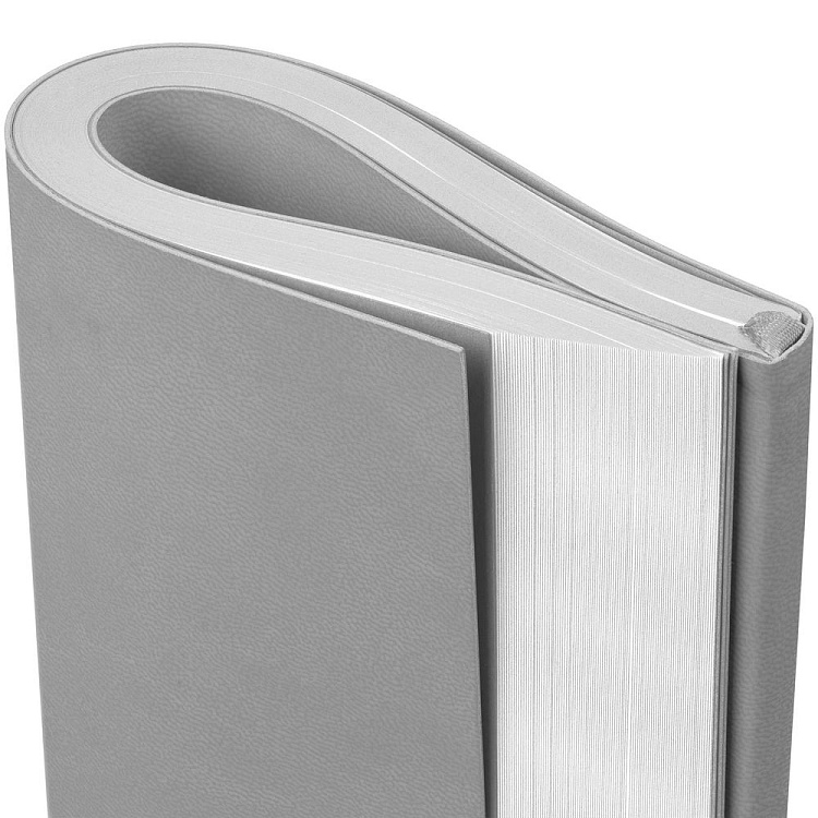 Ежедневник Flat Maxi