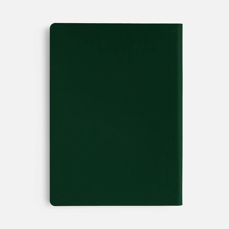 Ежедневник Flex Shall New