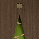 Открытка Season's Greetings