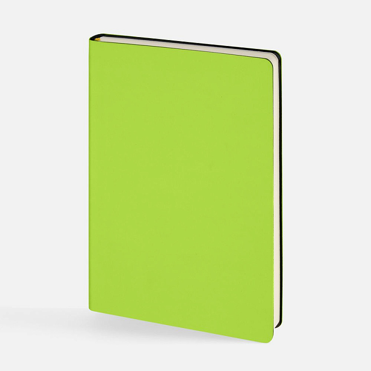 Ежедневник Flex Shall New