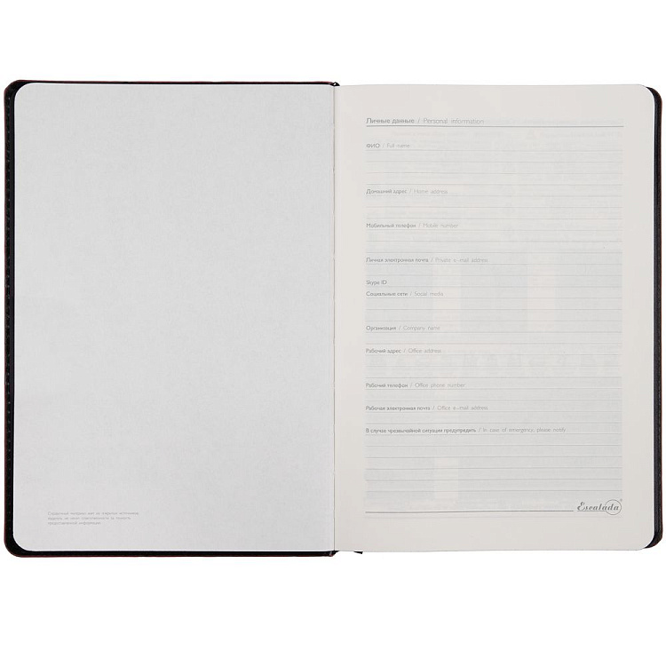 Ежедневник Alanis