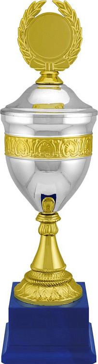 Кубок EnterPrize