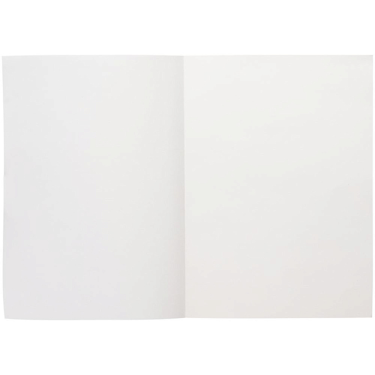 Ежедневник Flat Light