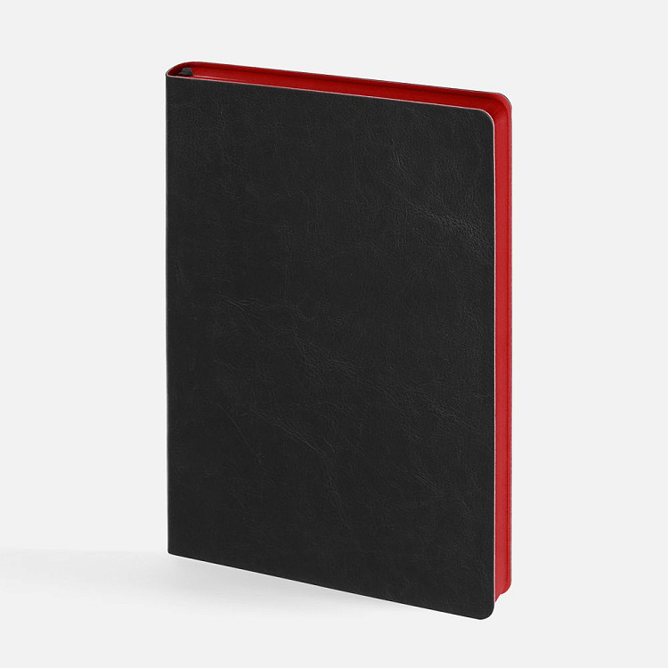 Ежедневник Doppio