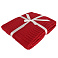 Набор подарочный NATIVE PASSION: плед, кружка, коробка, красный