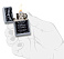 Зажигалка ZIPPO Jack Daniels® с покрытием Street Chrome, латунь/сталь, серебристая, 38x13x57мм