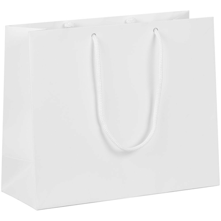 Пакет бумажный Lami Tote S