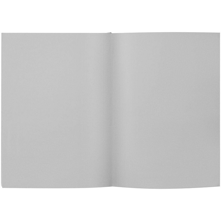 Ежедневник Flat Maxi