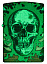 Зажигалка ZIPPO Skull Design с покрытием Glow In The Dark Green,латунь/сталь,разноцветная38x13x57 мм