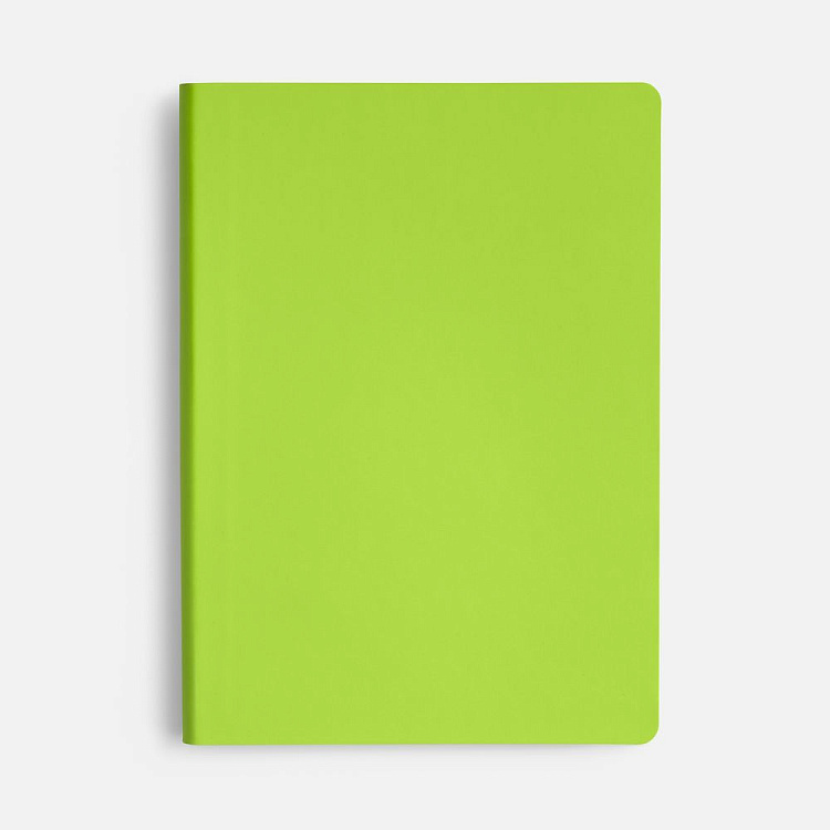 Ежедневник Flex Shall New