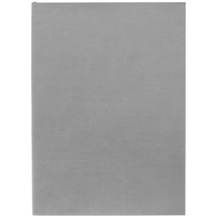 Ежедневник Flat Light